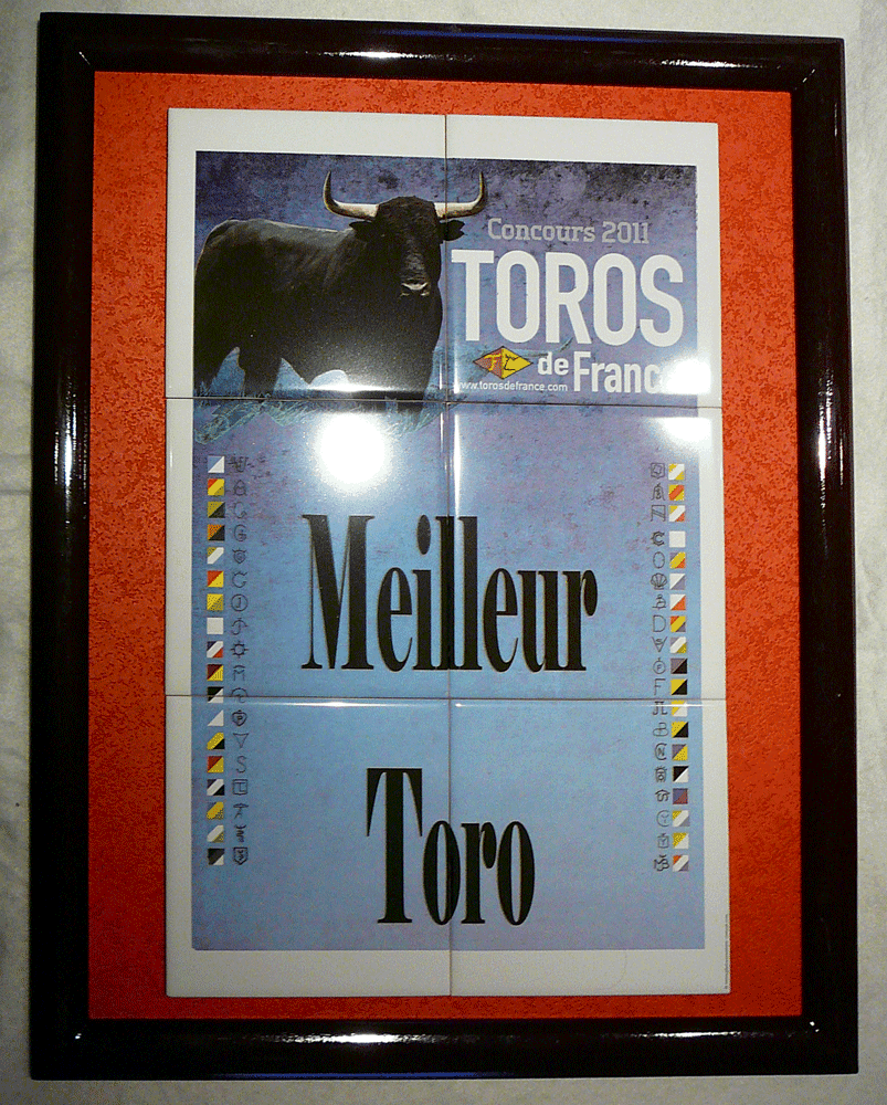 trophée meilleur toro de france