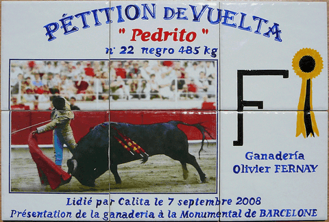 azulejo commemoratif vuelta de pedrito toro de fernay