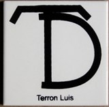 petit carreau blanc Luis Terron